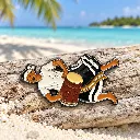 boduberu-story.webp